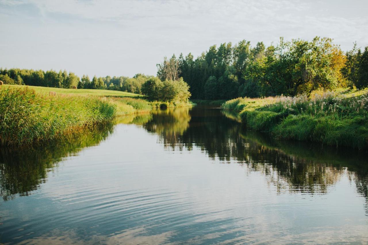Brivdienu Maja Ar Pirti "Strautkalni" Ieriki Bagian luar foto